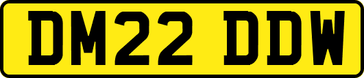 DM22DDW