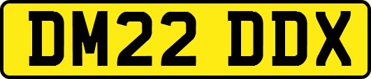 DM22DDX