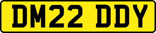 DM22DDY