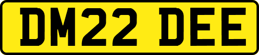 DM22DEE