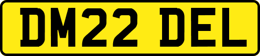 DM22DEL