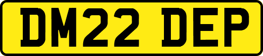 DM22DEP