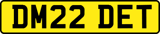 DM22DET
