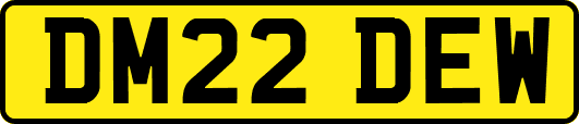 DM22DEW