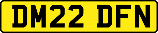 DM22DFN