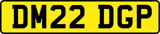 DM22DGP