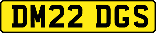 DM22DGS