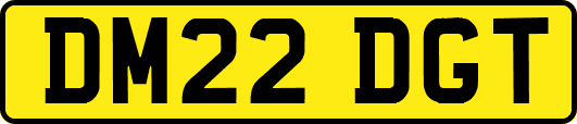 DM22DGT