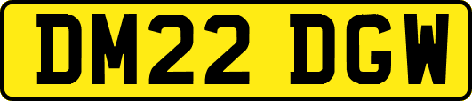 DM22DGW