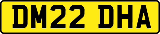 DM22DHA