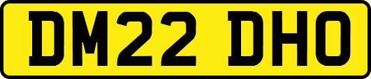 DM22DHO