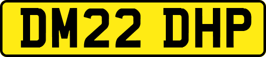 DM22DHP