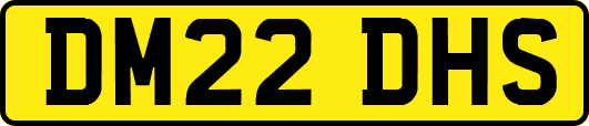DM22DHS