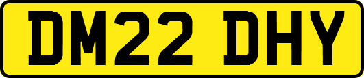 DM22DHY