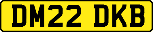 DM22DKB