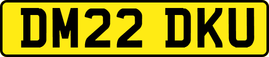 DM22DKU