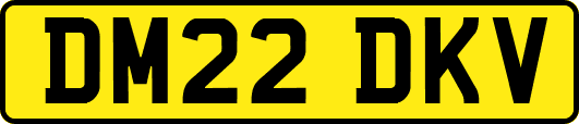 DM22DKV