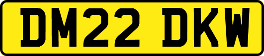 DM22DKW