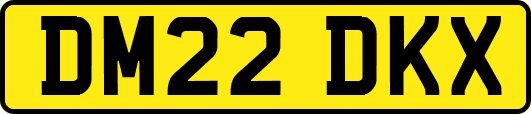 DM22DKX