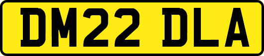 DM22DLA