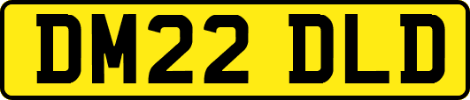 DM22DLD