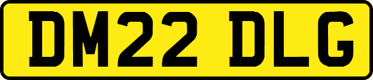 DM22DLG