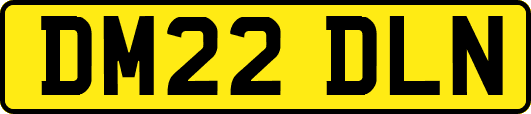 DM22DLN