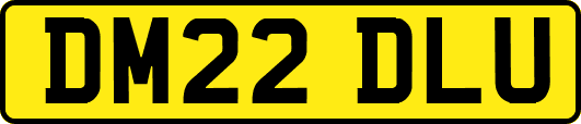 DM22DLU