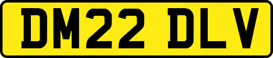 DM22DLV