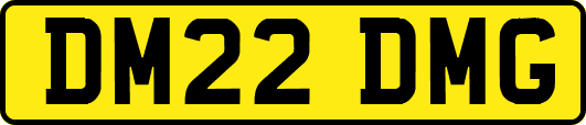DM22DMG