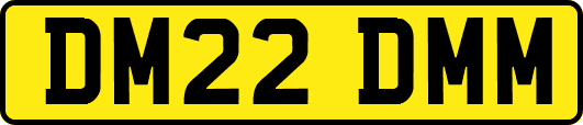 DM22DMM