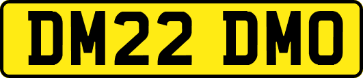 DM22DMO