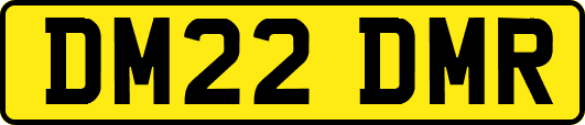 DM22DMR