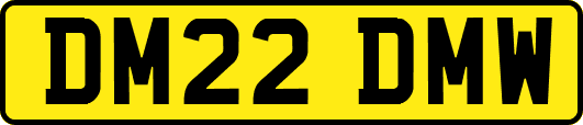 DM22DMW