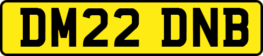 DM22DNB