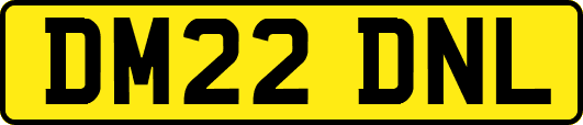 DM22DNL