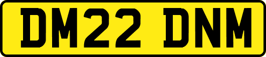 DM22DNM