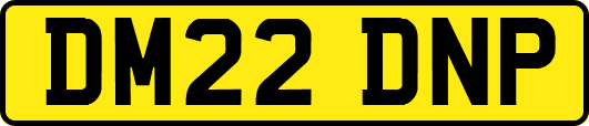 DM22DNP