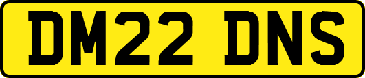 DM22DNS