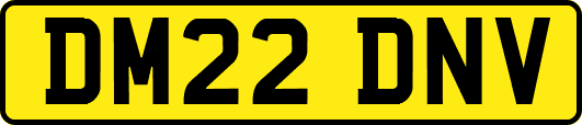 DM22DNV