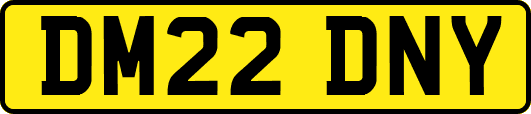 DM22DNY
