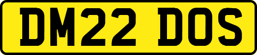DM22DOS