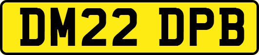 DM22DPB