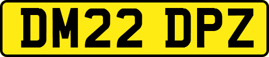 DM22DPZ