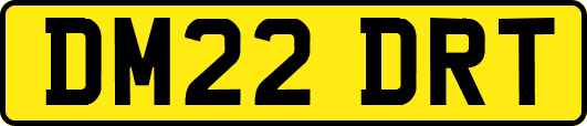 DM22DRT