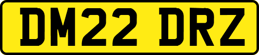 DM22DRZ