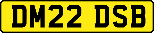 DM22DSB