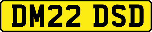 DM22DSD
