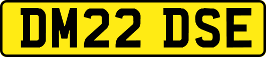DM22DSE