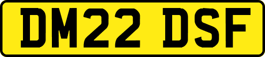 DM22DSF